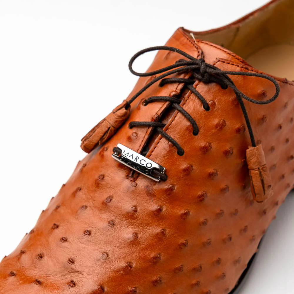 Criss  Brandy - Image 3