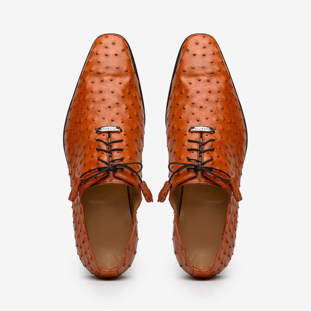 Criss  Brandy - Image 4