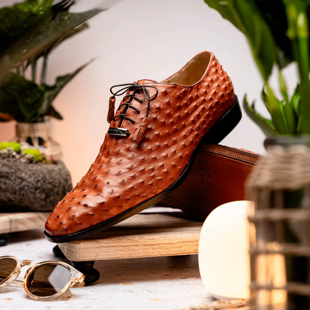 Criss  Brandy - Image 6