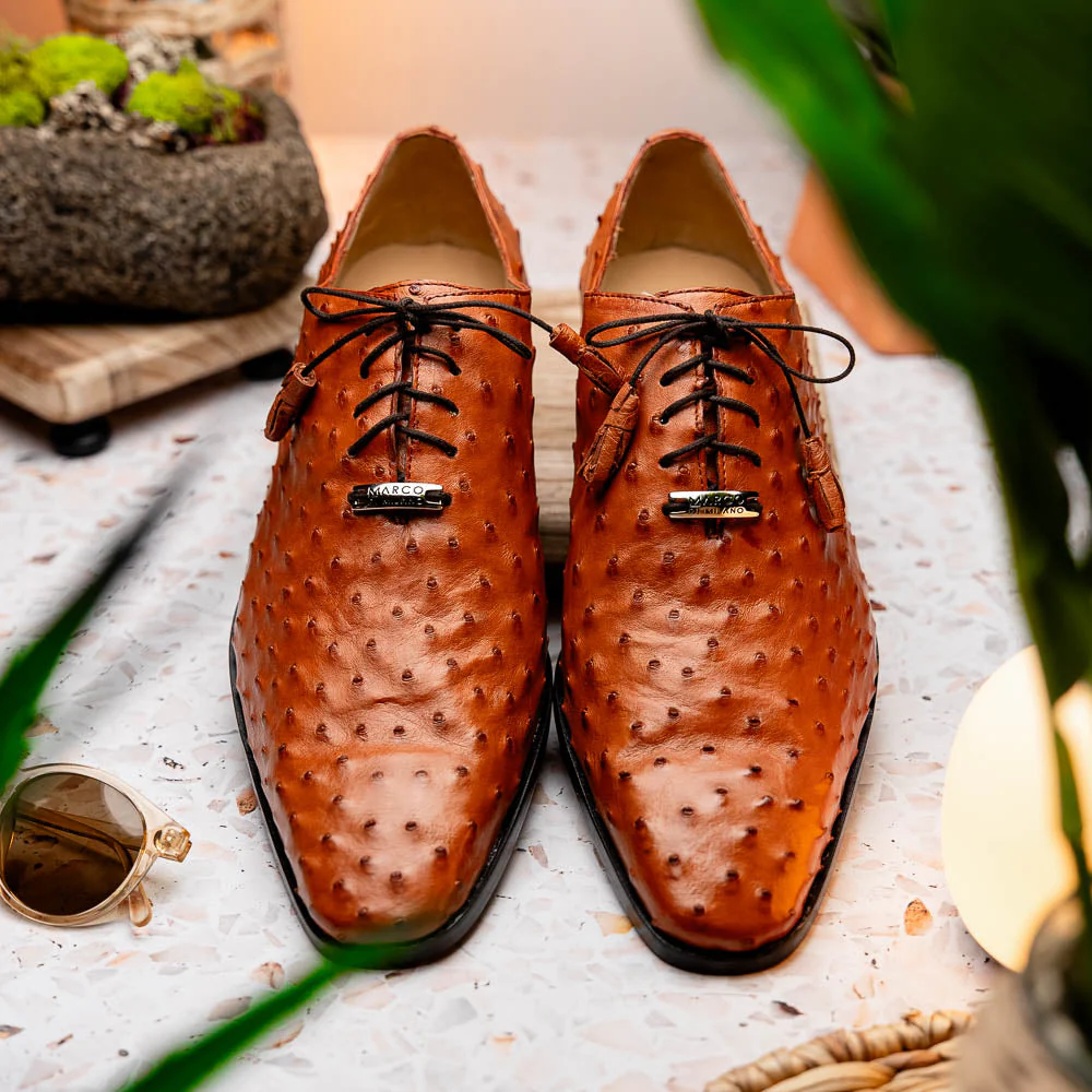 Criss  Brandy - Image 7