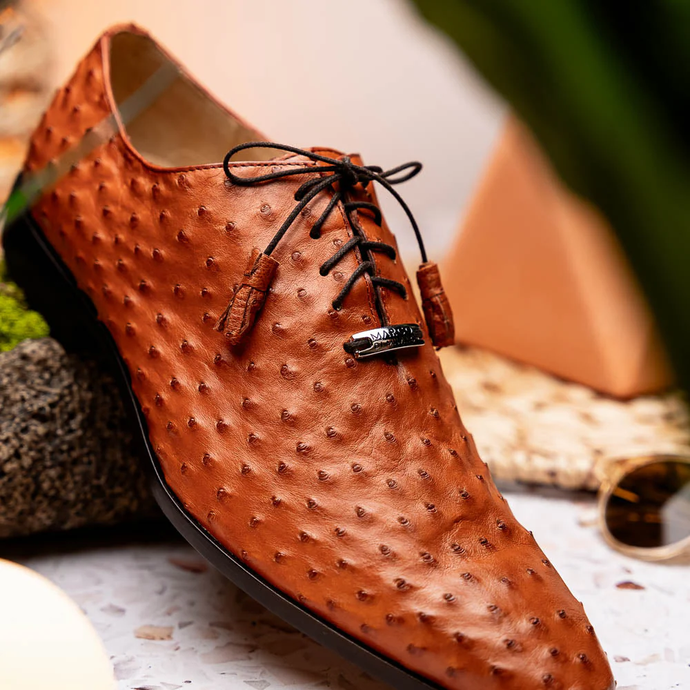 Criss  Brandy - Image 8