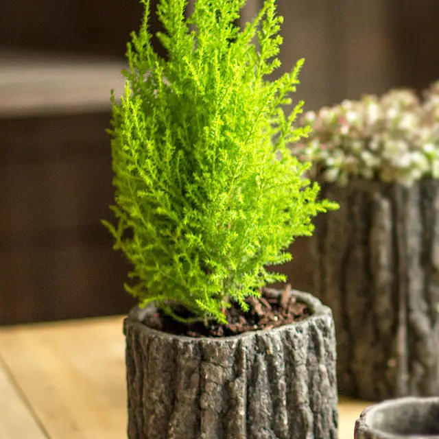 Round Concrete Pot with Bark Motif - Image 3